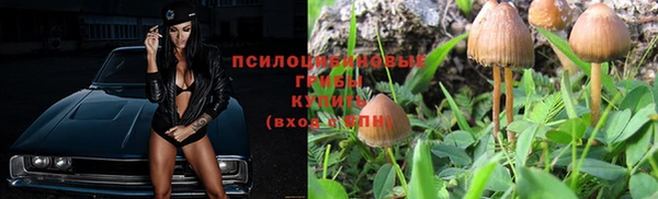 прущая мука Армянск