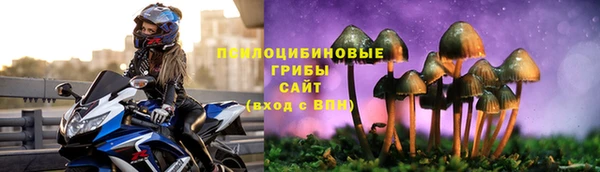 СК Арсеньев