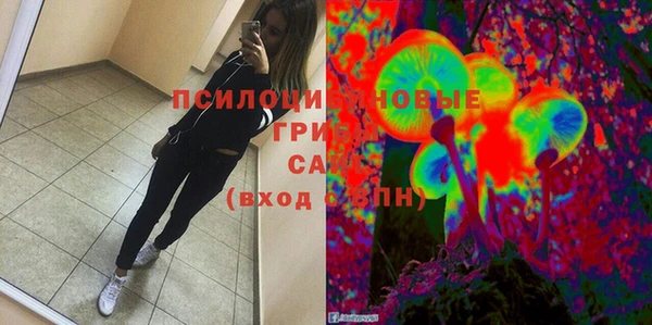 прущая мука Армянск