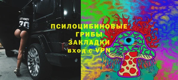 СК Арсеньев