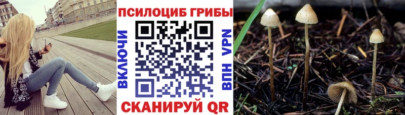 Купить  Уфа  Галлюциногенные грибы MAGIC MUSHROOMS 